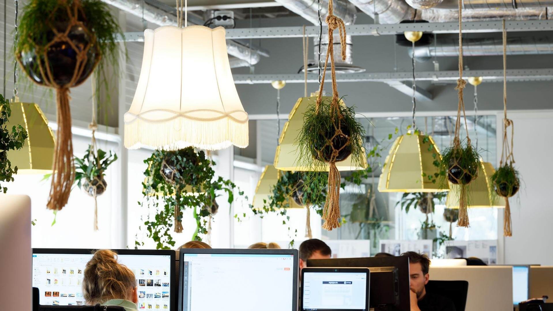 Lamp & Licht, kantoorontwerp, open kantoor, hangplanten kantoor | Burobas