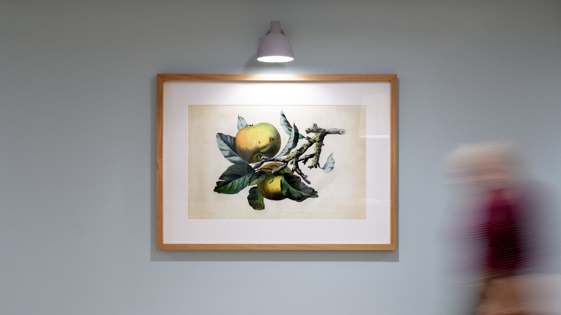 Stichting NiKo De Nieuwpoort, interieur schilderijlijsten, lamp boven schilderij | Burobas