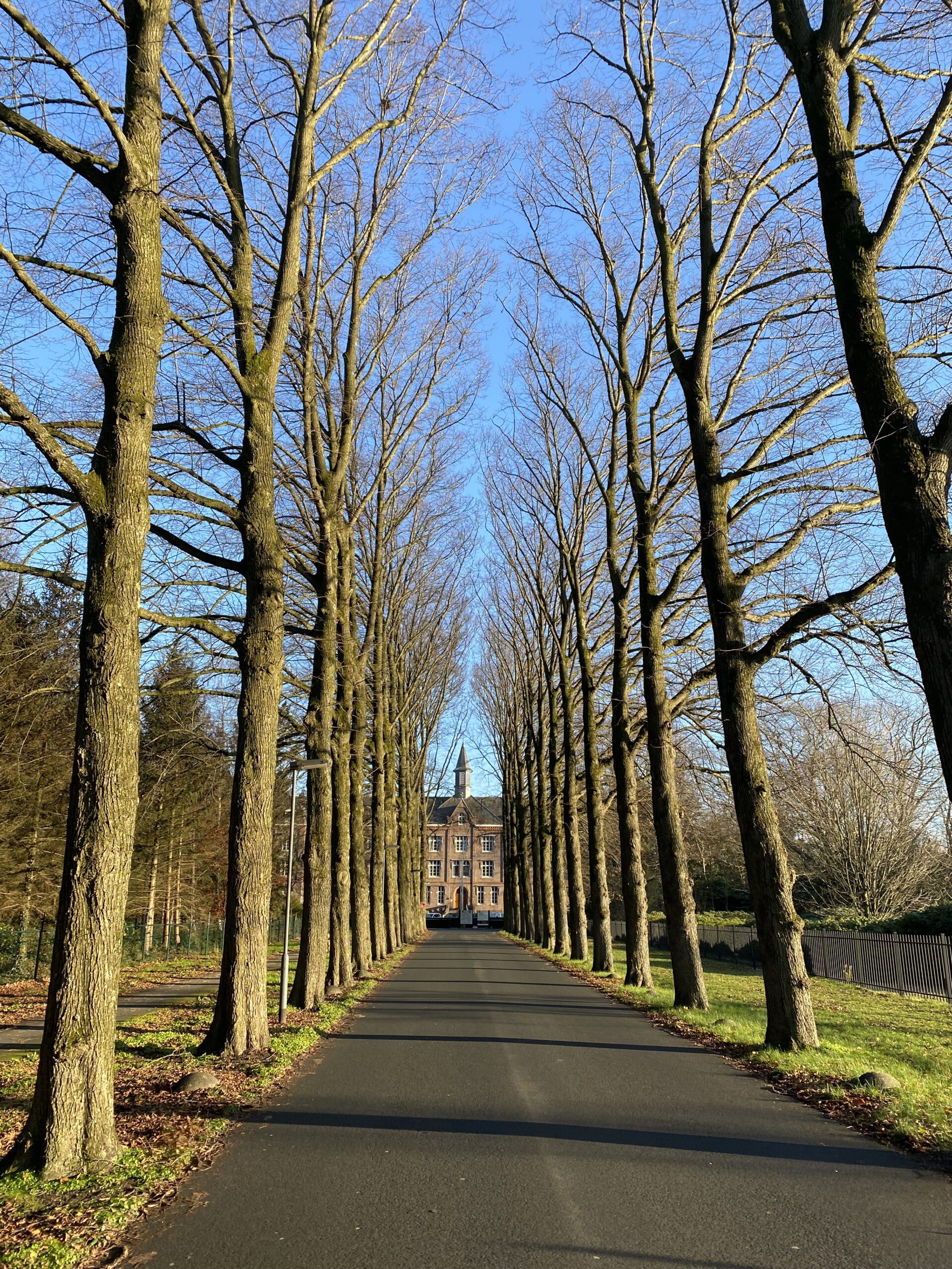 Park Zuiderhout, Teteringen | Burobas